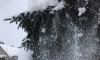 На западе Ленобласти местами ожидается сильный снег