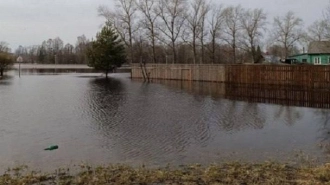 Уровень воды в реке Тихвинского района приблизился к опасной отметке