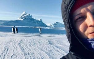 Полярников из России забрали с Антарктиды на судне "Академик Федоров" после годичной экспедиции
