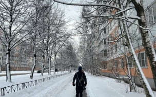 Первая апрельская неделя в Ленобласти начнется со снега