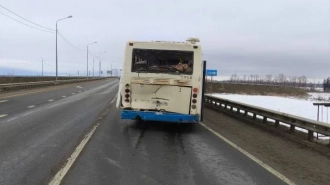 На трассе под Кингисеппом столкнулись грузовик и рейсовый автобус