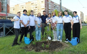 Петербургские активисты высадили более 2 тыс. деревьев и кустарников в рамках акции "Сад памяти"