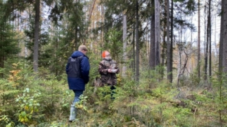 В Тверской области нашли скелетированное тело пропавшего год назад подростка