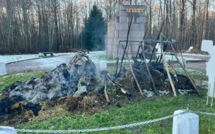 Пожар в музее "Шалаш Ленина" в Сестрорецке обернулся уголовным делом