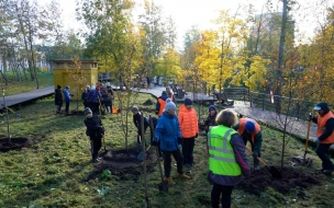 Петербуржцев приглашают на День благоустройства 19 октября