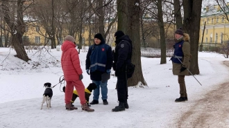 По итогам рейда в Таврическом саду в отношении собачников составили 11 протоколов