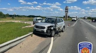 Велосипедист испугался собаки и попал под встречный автомобиль в Ленобласти 