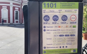 Платные парковки в Петербурге временно стали бесплатными 