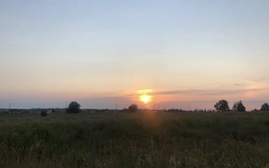 "Желтый" уровень опасности из-за погодных условий объявлен в Петербурге с 20 по 22 июня 