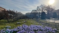 Ботанический сад Петра Великого реконструируют за ...