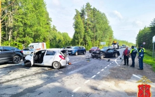 Под Приозерском произошло смертельное ДТП