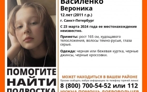 В Петербурге пятый день идут поиски 12-летней девочки
