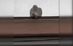 Скульптура ангела пропала с дома на Рылеева 