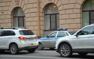 В Петербурге задержали полицейского, выстрелившего из травматического пистолета в жену