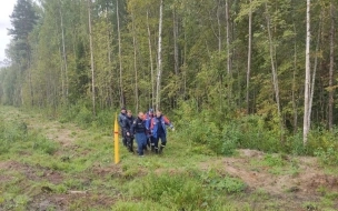 Женщину с признаками переохлаждения нашли в лесу около поселка Дубровка