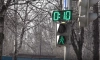 Мальчика на велосипеде сбили на пешеходном переходе на севере Петербурга