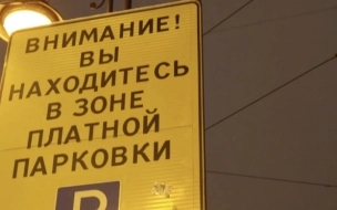 В зоне платной парковки в Петербурге за месяц выявили около 2 тыс. машин с закрытыми номерами