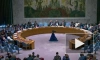 Лавров назвал красочным выступление постпреда США на заседании СБ ООН