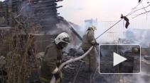 Более 20 жилых домов сгорели из-за природных пожаров под Воронежем