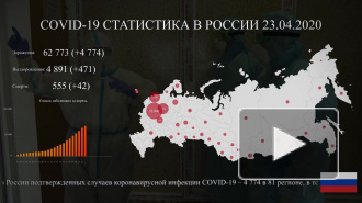 В Петербурге выявили 191 новый случай коронавирусной инфекции 