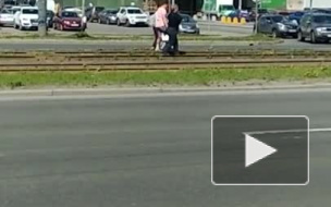 В Приморском районе утка с утятами решила перейти дорогу в неположенном месте