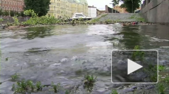 «Катя» еще в Петербурге. Порывы ураганного ветра достигнут 20 метров в секунду