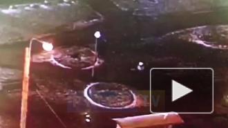 Избиение женщины на остановке общественного транспорта на Коломяжском попало на видео