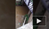 Смертельное видео из Бразилии: Парень прыгнул с моста и погиб