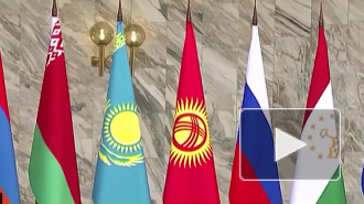 Парламентская ассамблея ОДКБ избрала Вячеслава Володина на пост председателя