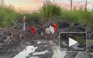 В Петербурге нашли останки мужчины, убитого 24 года назад