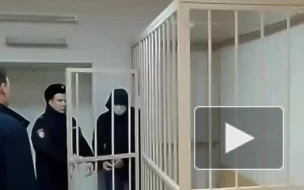 "Головолома" из петербургского УМВД заключили под стражу