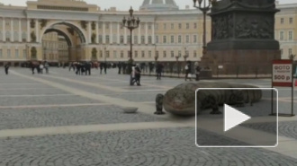 На Дворцовой площади появился гигантский ящер от художника Вадима Соловьева