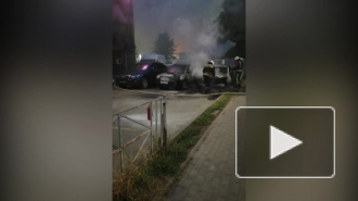 На Выборгском шоссе ночью горел автосалон "Форд"