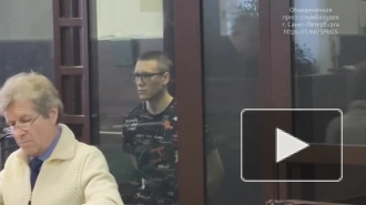 Задержанного в декабре поджигателя релейного шкафа в Петербурге обвинили в диверсии