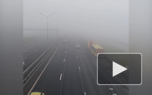 Дамба утонула в тумане. Водителям приходится тормозить