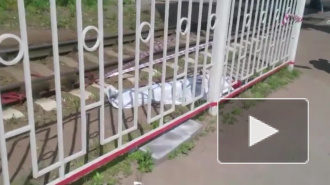 Смертельное видео из Петербурга: на "Старой Деревне" электричка сбила мужчину