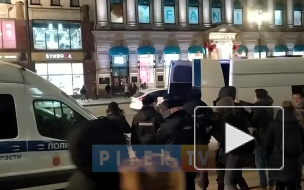 На Гостином дворе задержали участницу одиночного пикета 