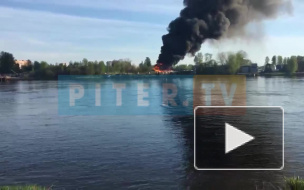 Что произошло в Петербурге 14 мая: публикуем фото и видео