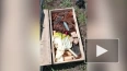 Под Артёмовском в ДНР обнаружили крупный схрон боеприпасов ...