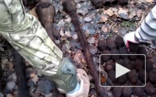 У спасателей из Ломоносова нашли целый арсенал ржавого оружия