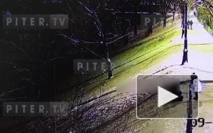 Девочка получила травмы во время катания на ватрушке в Кронштадте