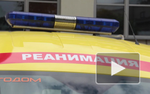 Трехлетний мальчик в Петербурге наглотался клофелина из-за невнимательной бабушки