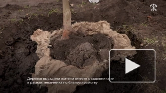 Петербуржцы и садовники высадили в Александровском саду 22 дерева