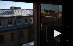 Депутаты ЗакСа хотят "посчитать" всех дворников в Интернете