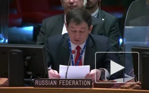 Россия в ООН выразила надежду, что на Украине скоро смогут праздновать победу в ВОВ