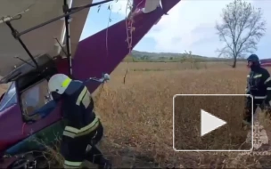 В Алтайском крае упал легкомоторный самолет