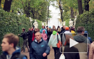 Новости часа: 26 мая, 16.00 — происшествия   