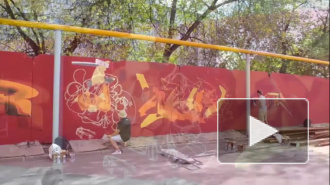 Новое граффити от HoodGraff появилось в Петроградском районе - скейтбордист Тони Хоук