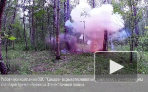 Три человека погибли из-за взрыва снаряда времен ВОВ на полигоне в Ленобласти