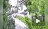 Автомобиль Росгвардии сбил детей на пешеходном переходе под Брянском